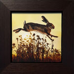 Framed Tom Chambers photograph wi th bunny