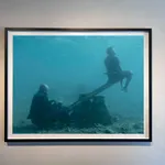 framed see saw underwater Nick Brandt photograph in figi