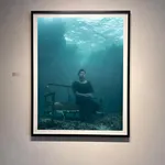 Framed nick brandt large scale underwater photograph figi purchase gilman Contemporary