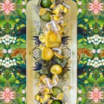 JP Terlizzi photography Creatures of Curiosity buy here