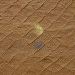 Ana Hernández, Yo soy bixhia', 2024-25