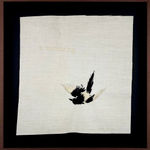 Domino Whisker, White Feather (from dad)