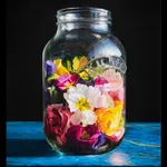 Salvador Dali, Homage to Newton, 1980