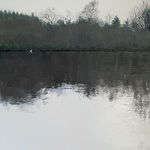 Stephanie Noble, Lament