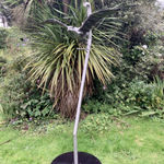 Peppe Perone, Oca (Goose)