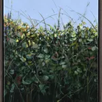 Sallyann Beirne, Hedgerow