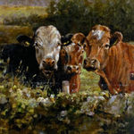 Mark Rode, Perpetual Motion