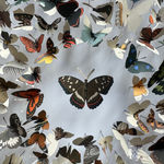 Mark Rode, Perpetual Motion