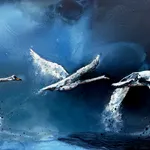 Anna McKeever, Skin of the Land