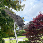 Peppe Perone, Oca (Goose)