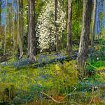 Mark Rode, Perpetual Motion