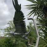 Peppe Perone, Oca (Goose)