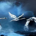 Anna McKeever, Skin of the Land