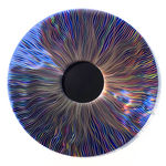 Peter Monaghan, Black Eye Freeform