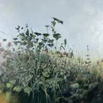 Sallyann Beirne, Hedgerow