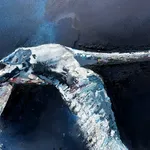 Anna McKeever, Skin of the Land