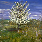 Mark Rode, Perpetual Motion