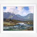 Eileen Meagher, Roundstone Bog, Connemara