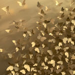 Roberto Bernardi, Climbers XXXVI - 03