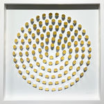 Peter Monaghan, Oscillation