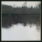 Stephanie Noble, Lament