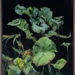 Sallyann Beirne, Hedgerow