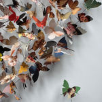 Mark Rode, Perpetual Motion