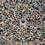 Mark Rode, Perpetual Motion