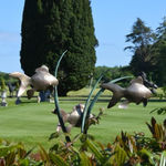 Peppe Perone, Oca (Goose)