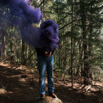 Steve Carr, Invisibility Shields 6, 2025