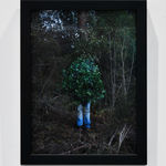 Steve Carr, Invisibility Shields 6, 2025