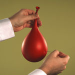 Steve Carr, Cock, 2005