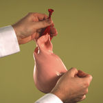 Steve Carr, Cock, 2005