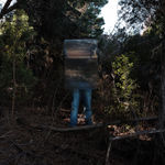 Steve Carr, Invisibility Shields 6, 2025