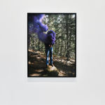 Steve Carr, Invisibility Shields 6, 2025