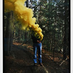 Steve Carr, Invisibility Shields 6, 2025