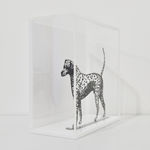 Zadok Ben-David, The Beak and the Crown, 2018