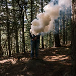 Steve Carr, Invisibility Shields 6, 2025