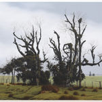 Michael Hight, Whanganui River - Hiruharama, 2015