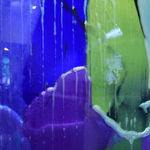 Dale Frank, Wanking with your Inner Idiot, the real you/jump start your body's fat buster/New Plymouth Landscape, 2004