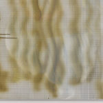 James Cousins, White Bloom, 2011