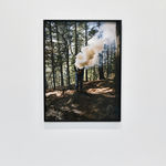 Steve Carr, Invisibility Shields 6, 2025