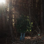 Steve Carr, Invisibility Shields 6, 2025