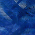 James Cousins, White Bloom, 2011