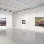 Dick Frizzell, Dark Tree, 2025