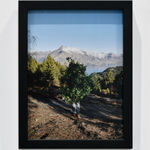 Steve Carr, Invisibility Shields 6, 2025