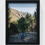 Steve Carr, Invisibility Shields 6, 2025