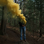 Steve Carr, Invisibility Shields 6, 2025