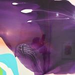 Dale Frank, Wanking with your Inner Idiot, the real you/jump start your body's fat buster/New Plymouth Landscape, 2004