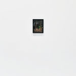 Steve Carr, Invisibility Shields 6, 2025